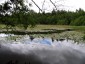 Čtyři jihočeské rybníky se staly přírodními památkami