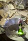 Prestižní festival šampaňského Grand Jour de Champagne
