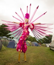  výstava festivalu Glastonbury