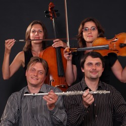 Ensemble Martinu