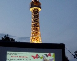 Kinobus2012