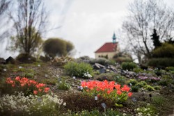 ornamentka Jih - Botanická zahrada