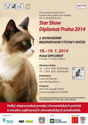 StarShow Diplomat Praha 2014