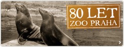 zoo praha slavi 80